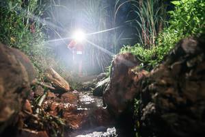 BIB: 
                            <button type="button" onclick="openModal(26415084)" class="btn btn-primary btn-sm float-right btn-popup" data-toggle="modal" data-target=".modal-high-quality">
                        <i class="fas fa-shopping-cart"></i> Add to Cart
                    </button>
                                            <button type="button" onclick="isThisMe(26415084, true)" class="btn btn-success btn-sm float-right btn-popup btn-isme hidden" data-toggle="tooltip" data-placement="bottom" title="นี่คือรูปของคุณใช่ไหม คลิกที่นี่เพื่อเอาเข้าอัลบั้ม">
                        <i class="fas fa-plus"></i> Add to album
                    </button>
                    <button type="button" onclick="isThisMe(26415084, false)" class="btn btn-warning btn-sm float-right btn-popup btn-isnotme hidden">
                        <i class="fas fa-ban"></i> Remove from album
                    </button>